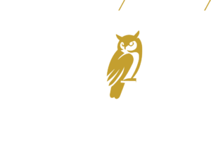 AOM Financial Services - White Logo AOM Financial Services - White Logo